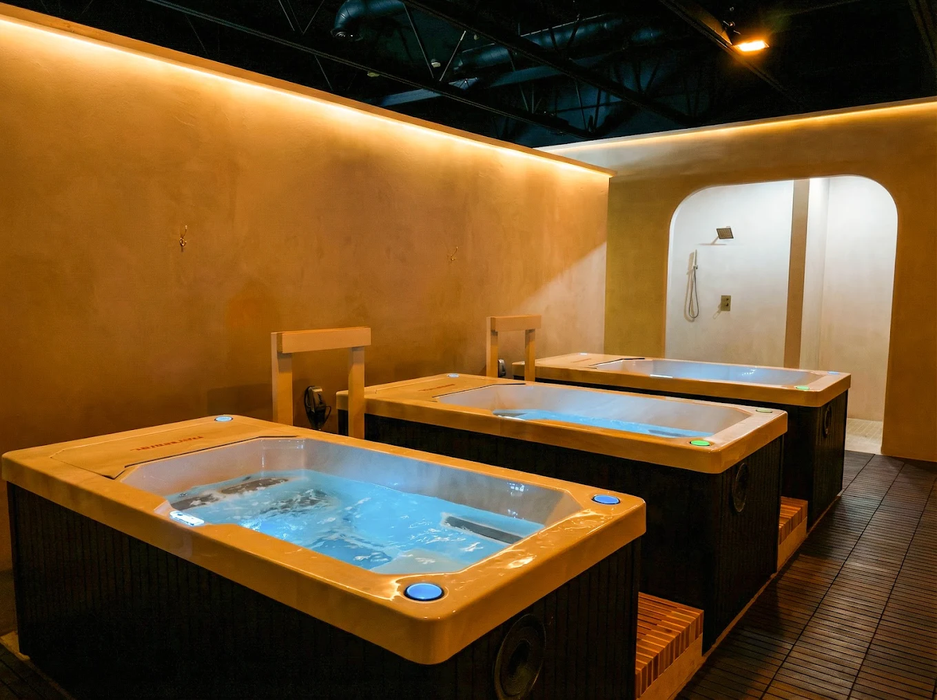 Cold Plunge Therapy